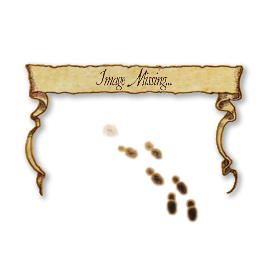 This image was missing