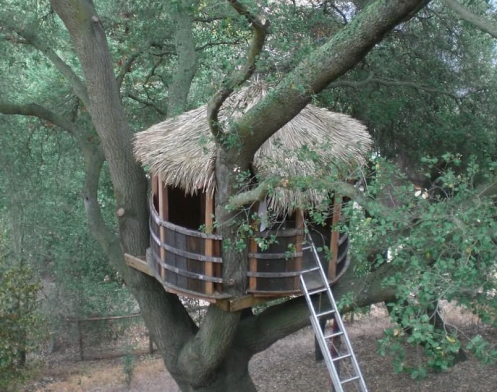 The finished bookshelf